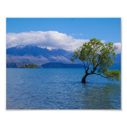 The Wanaka Tree, Lake Wanaka, NZ - Foto print Foto Afdruk (Voorkant)
