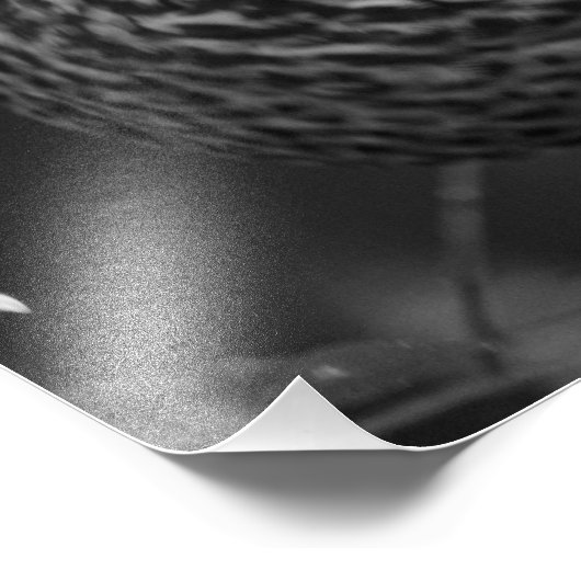 The Watcher Foto Afdruk (Hoek)