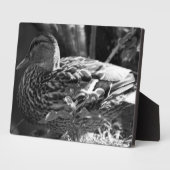 The Watcher Fotoplaat (Zijkant)