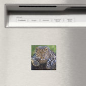 The Watcher Magnet (Insitu (Vaatwasser))