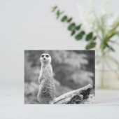 "The Watchman" Briefkaart (Staand voorkant)