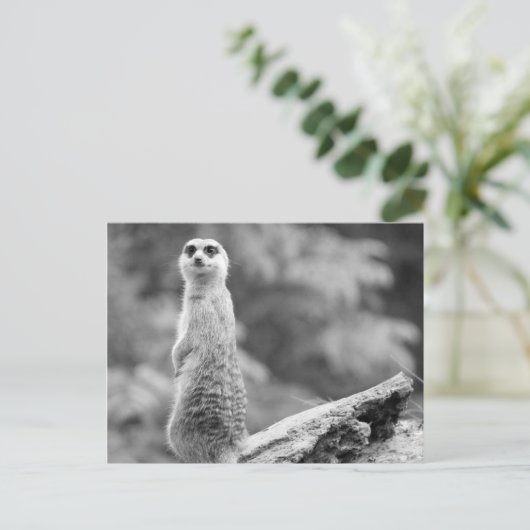 "The Watchman" Briefkaart (Staand voorkant)