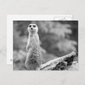 "The Watchman" Briefkaart (Voorkant / Achterkant)