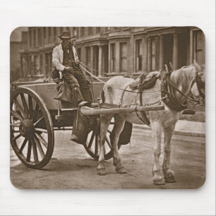 The Water Cart, van 'Street Life in London', 1877 Muismat