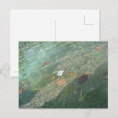 The water's surface in October Briefkaart (Voorkant / Achterkant)