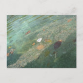 The water's surface in October Briefkaart (Voorkant)