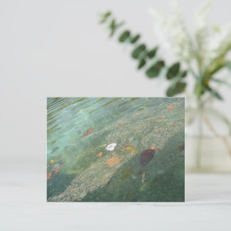 The water's surface in October Briefkaart