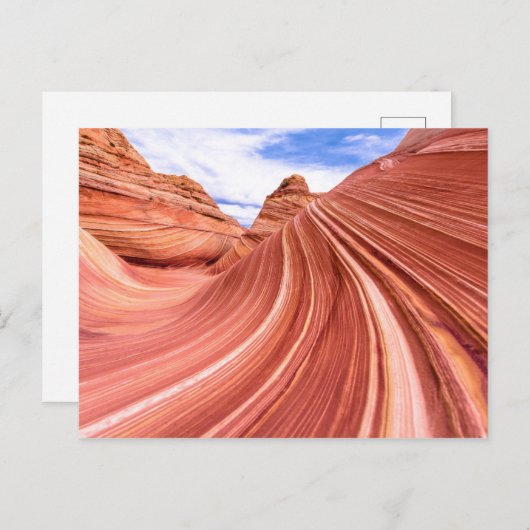 The Wave Sandstone Rock Formation Briefkaart (Voorkant / Achterkant)