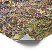 The Way Across Poster (Hoek)