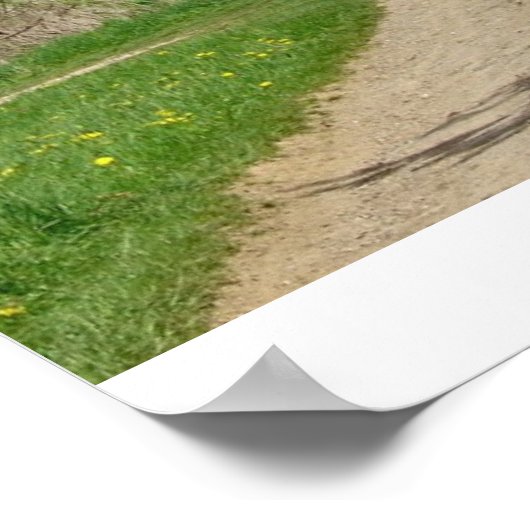 The Way Home II Poster (Hoek)