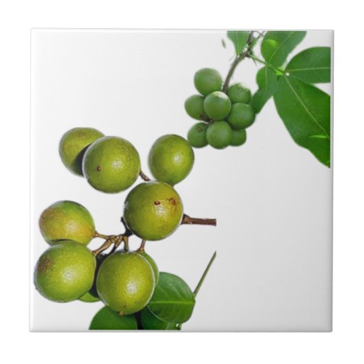 The Way Tegeltje (Voorkant)