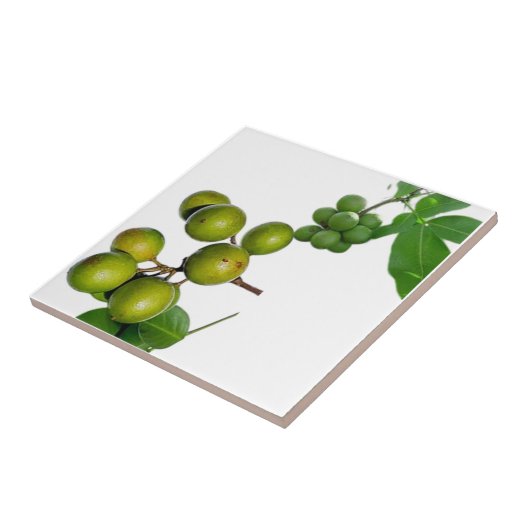 The Way Tegeltje (Zijkant)