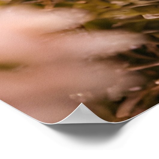 The Way We Stay Poster (Hoek)