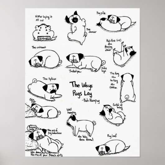 The Ways Pugs Lay Poster (Voorkant)
