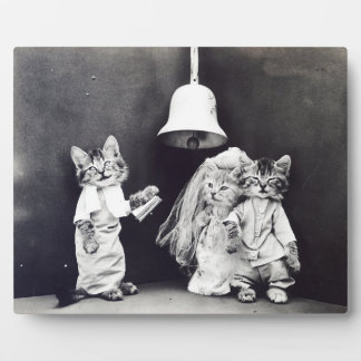 The Wedding Harry Whittier Frees 1914 Fotoplaat