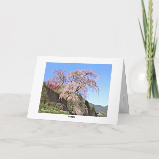 The Weeping Cherry Tree: Matabei-Zakura Kaart (Achterkant)