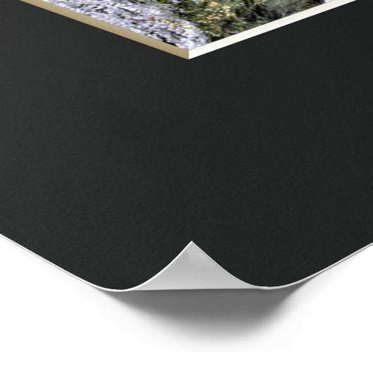 The Weeping Cherry Tree: Ono-ji temple Poster (Hoek)