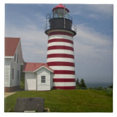 The West Quoddy Head Lighthouse State Park Tegeltje (Voorkant)