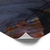 The White Mushroom Poster (Hoek)