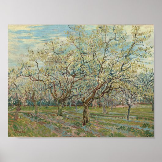 The White Orchard Arles, April 1888 Vincent van Go Poster (Voorkant)