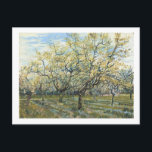 The White Orchard (F403) Van Gogh Fine Art Briefkaart<br><div class="desc">Witte boomgaard,  Vincent van Gogh 1888. Amsterdam. F 404</div>