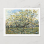 The White Orchard (F403) Van Gogh Fine Art Briefkaart<br><div class="desc">Witte boomgaard,  Vincent van Gogh 1888. Amsterdam. F 404</div>