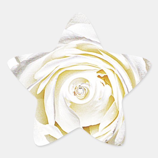 The White Rose of Love_ Ster Sticker (Voorkant)