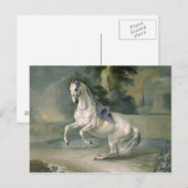The White Stallion 'Leal' en levade, 1721 Briefkaart (Voorkant / Achterkant)