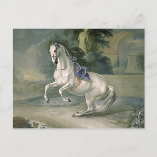 The White Stallion 'Leal' en levade, 1721 Briefkaart (Voorkant)