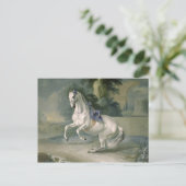 The White Stallion 'Leal' en levade, 1721 Briefkaart (Staand voorkant)