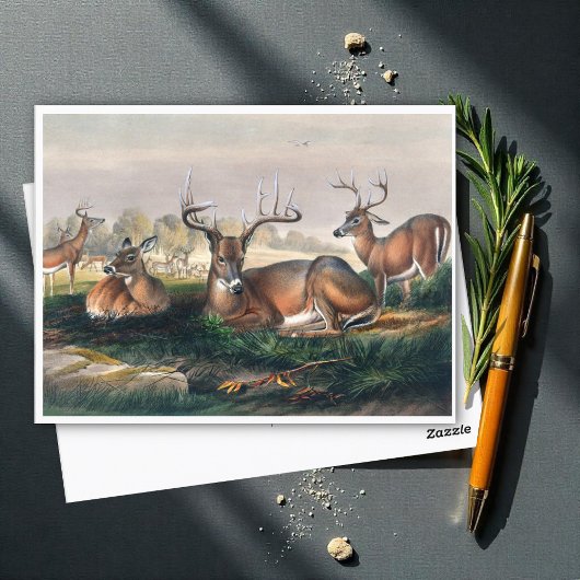 The White-Tailed Deer van Joseph Wolf Briefkaart
