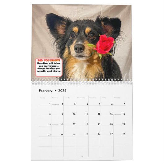 The Whole Gang Kalender (Feb 2026)