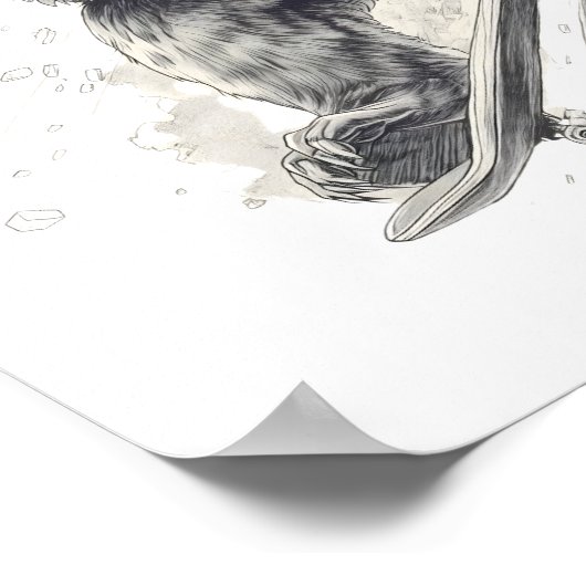 The Wild Rider Bear Sketch Poster (Hoek)