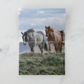 The Wild Roan Family Runs Greeting Card (Binnen)