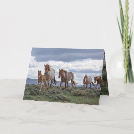 The Wild Roan Family Runs Greeting Card (Voorkant)