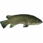 The Wish Fish Family - Harold Photo Sculpture Keyc Fotobeeldje Sleutelhanger<br><div class="desc">Show je liefde voor de 'Wish Fish Family' met deze modieuze Harold sleutelhanger!</div>