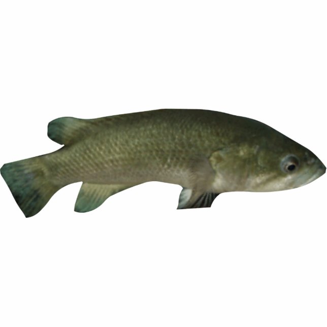 The Wish Fish Family - Harold Photo Sculpture Keyc Fotobeeldje Sleutelhanger (Voorkant)