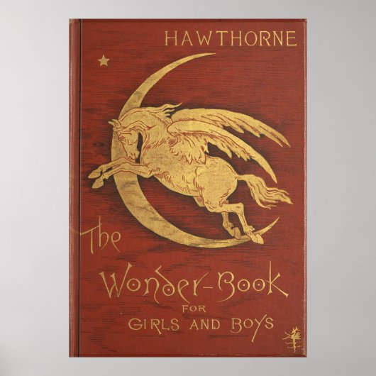 The Wonder Book 1884 Poster (Voorkant)