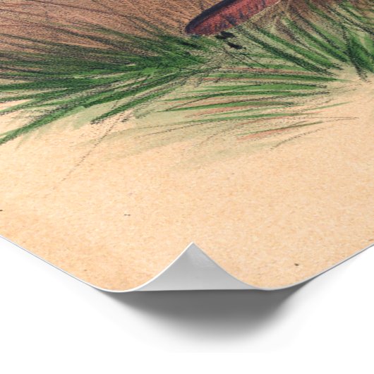 The Yaguarundi Cat van Joseph Wolf Poster (Hoek)