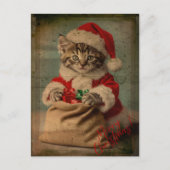 The 'Yuletide Yawn' Dashing Kitten Christmas Briefkaart (Voorkant)