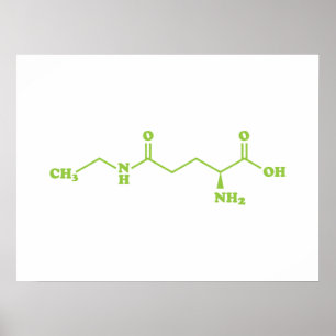 Theanine Moleculaire Chemische Formule van Thee Poster