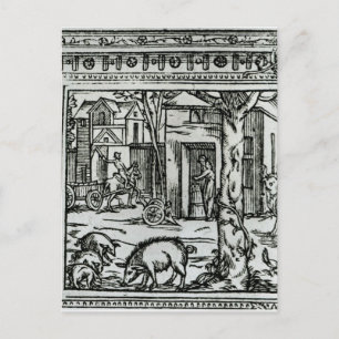 Theater d'Agriculture et Mesnage des Champs Briefkaart