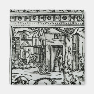 Theater d'Agriculture et Mesnage des Champs Magneet