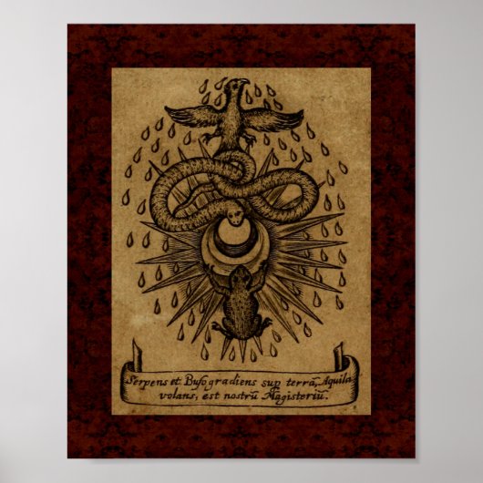 Theatrum Chemicum: 1652 Alchemy Illustration Poster (Voorkant)