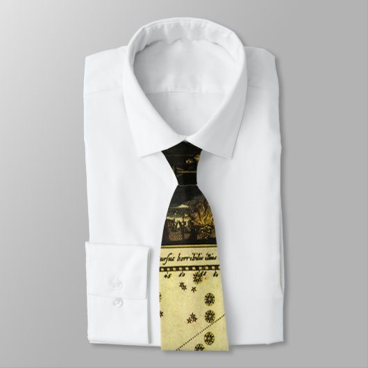 Theatrum Cometicum Kometen van Stanislaw Lubieniec Stropdas (Gebonden)