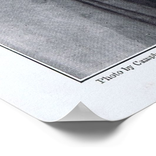 Theda Bara Rotrogravure 1916 Afdruk Poster (Hoek)