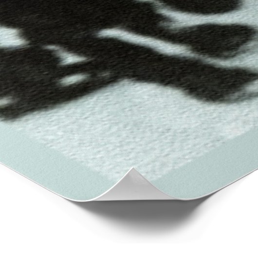 Theda's Eyes Poster (Hoek)