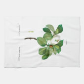 Thee : BOTANISCH : REDOUTÉ : MAGNOLIA Theedoek (Horizontaal)