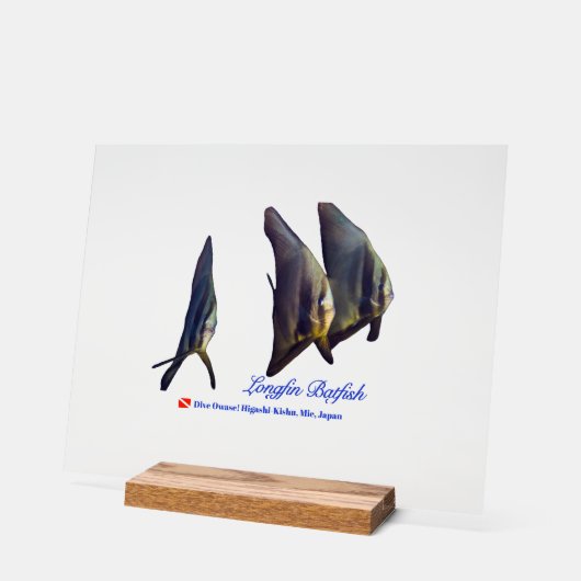 Thee Cute Longfin Batfish Beverage Coaster Acryl Bord (Hoek)