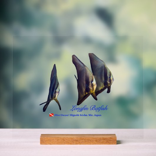 Thee Cute Longfin Batfish Beverage Coaster Acryl Bord (Neutraal)